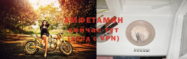 мяу мяу мука Белокуриха