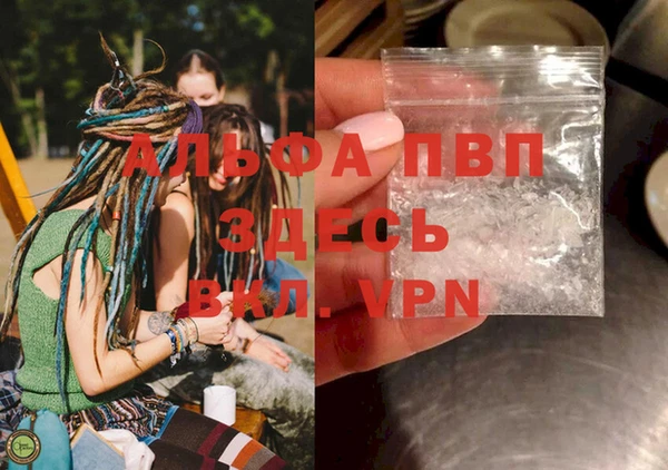 мяу мяу мука Белокуриха
