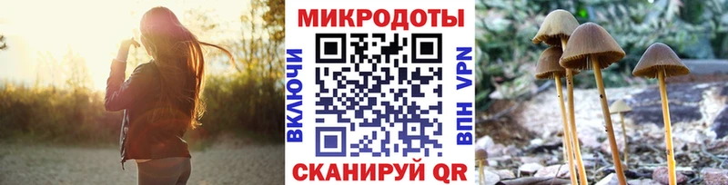 Галлюциногенные грибы GOLDEN TEACHER  маркетплейс формула  Борисоглебск  цена   blacksprut ССЫЛКА 